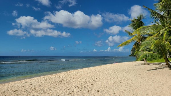 Habiter en caravane toute l'année : récits inspirants et astuces pratiques