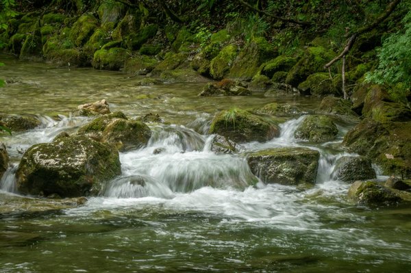 Les 10 Échappées Écoresponsables Incontournables : Plongez dans l'Univers du Tourisme Durable